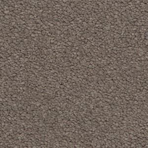 ironstone solution dyed nylon arpet
