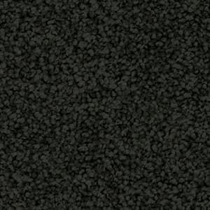 licorice jped solution dyed nylon carpet
