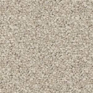 Triexta Carpet in the colour moonlight