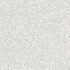 A close up of a white carpet texture.