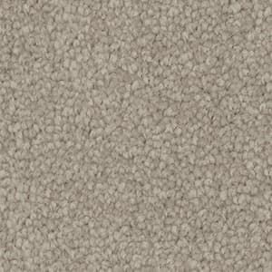 A close up of a beige carpet texture.