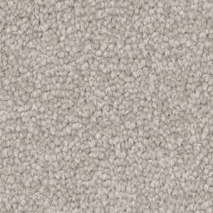 Triexta Carpet in the colour pearl brush