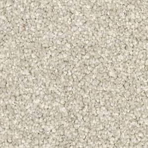 porcelain solution dyed nylon carpet