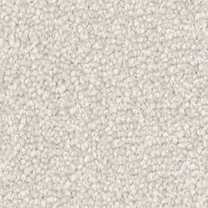 Triexta Carpet in the colour powder white