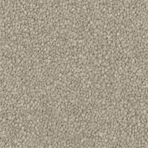 A close up of a beige carpet texture.