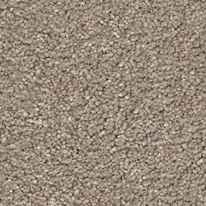 radiance triexta carpet