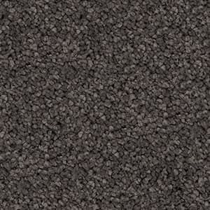 solution dyed nylon carpet seagrass