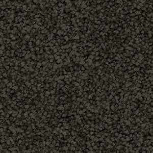 seal solution dyed nylon carpet