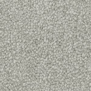 A close up of a gray carpet texture.