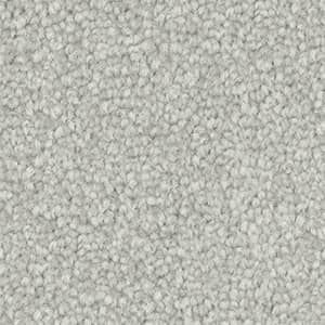 A close up of a white carpet texture.