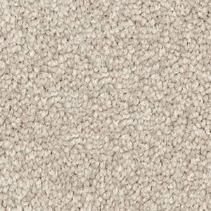 sun dew solution dyed nylon carpet