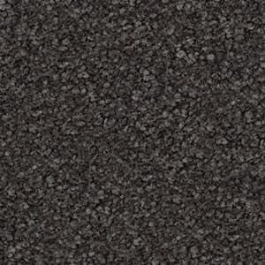 twinkle triexta carpet flooring
