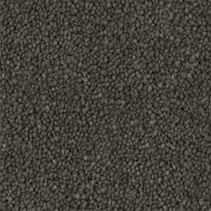 solution dyed nylon carpet vintage stipple