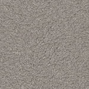 vivid triexta carpet
