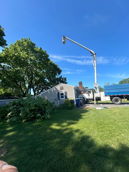 Tree trimming crew on a sunny lawn, with a bucket truck and worker in a raised boom near a house.