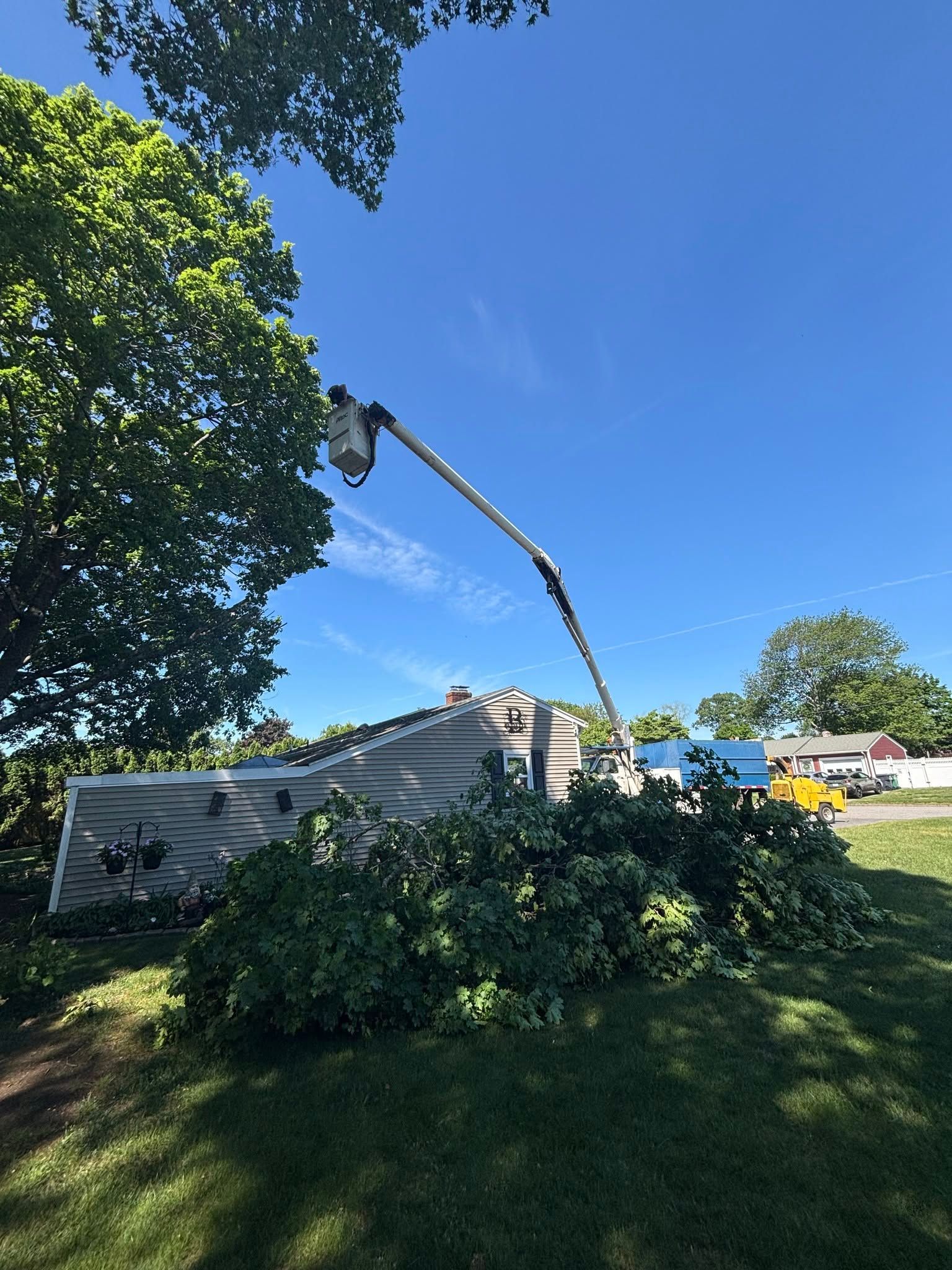 Tree limb fallen onto a white structure beside a streetlight, with debris under a clear blue sky.