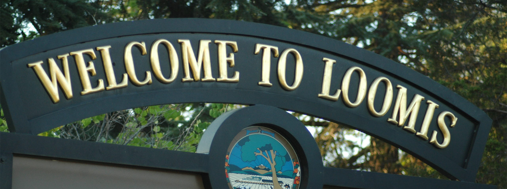 Loomis Background Image | Bertinis German Motors