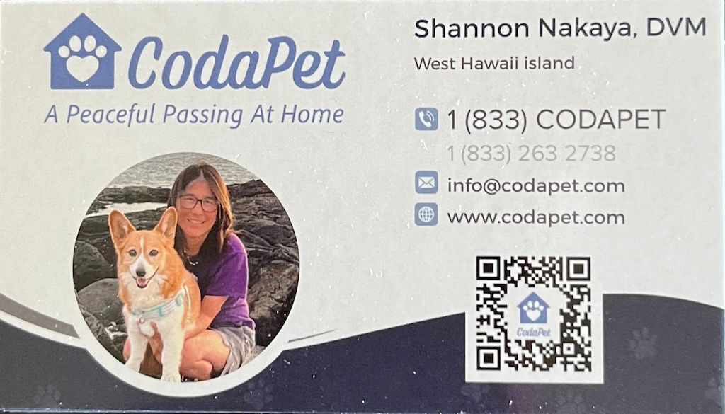 Veterinary Acupuncture | Hawaii