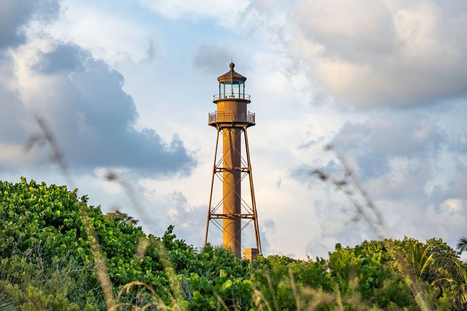 Lighthouse on a shoreline, metal structure against cloudy sky, framed by green foliage and tall grass.