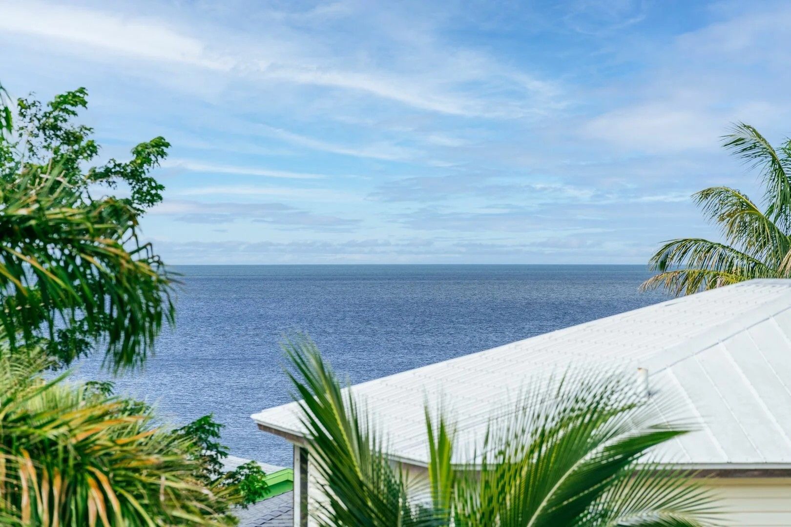 Tropical ocean view with palm leaves and a white roof under a blue sky