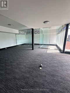 Empty office space with dark grey carpet, glass walls, and large windows letting in sunlight.