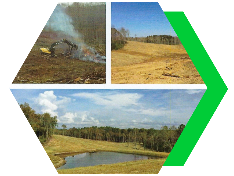 Three-panel collage showing a landscape before, during, and after restoration with a green arrow.