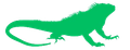 IGUANA 911