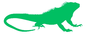 Iguana 911