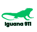 Iguana 911