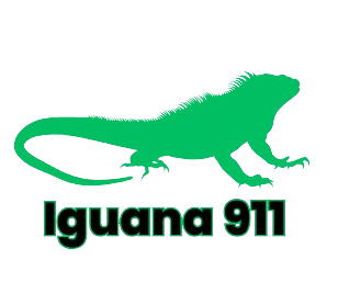 Iguana 911