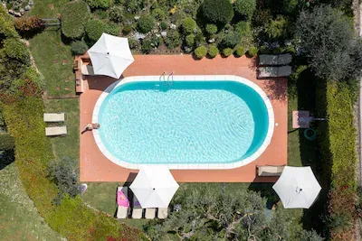 Veduta aerea di una piscina all'aperto con ombrelloni bianchi, lettini e vegetazione lussureggiante.