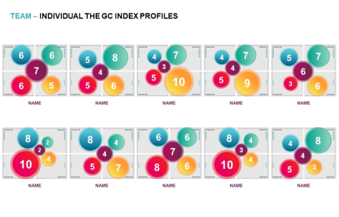 Individual Team Member Profiles