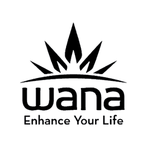 A black logo featuring a stylized sunburst or leaf icon above the word