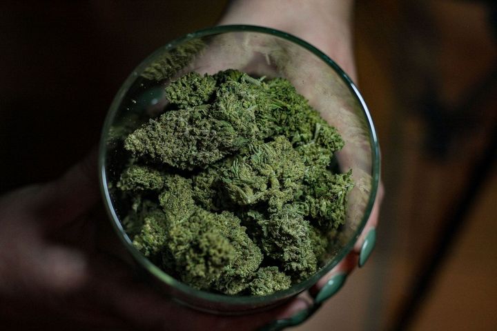 A pair of hands holds a glass bowl filled with dried, green cannabis buds.