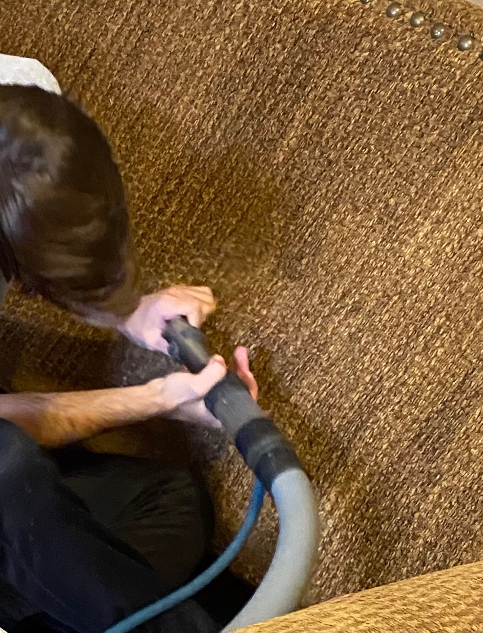 Person vacuuming a brown carpet, holding a vacuum hose and nozzle. Person vacuuming a brown carpet, holding a vacuum hose and nozzle.