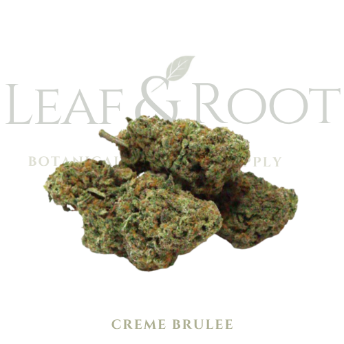Hemp Flower - Creme Brulee 7 Grams