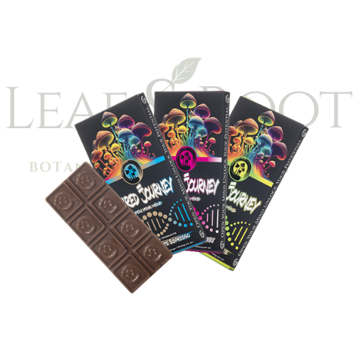 Sacred Journey Chocolate Bars
