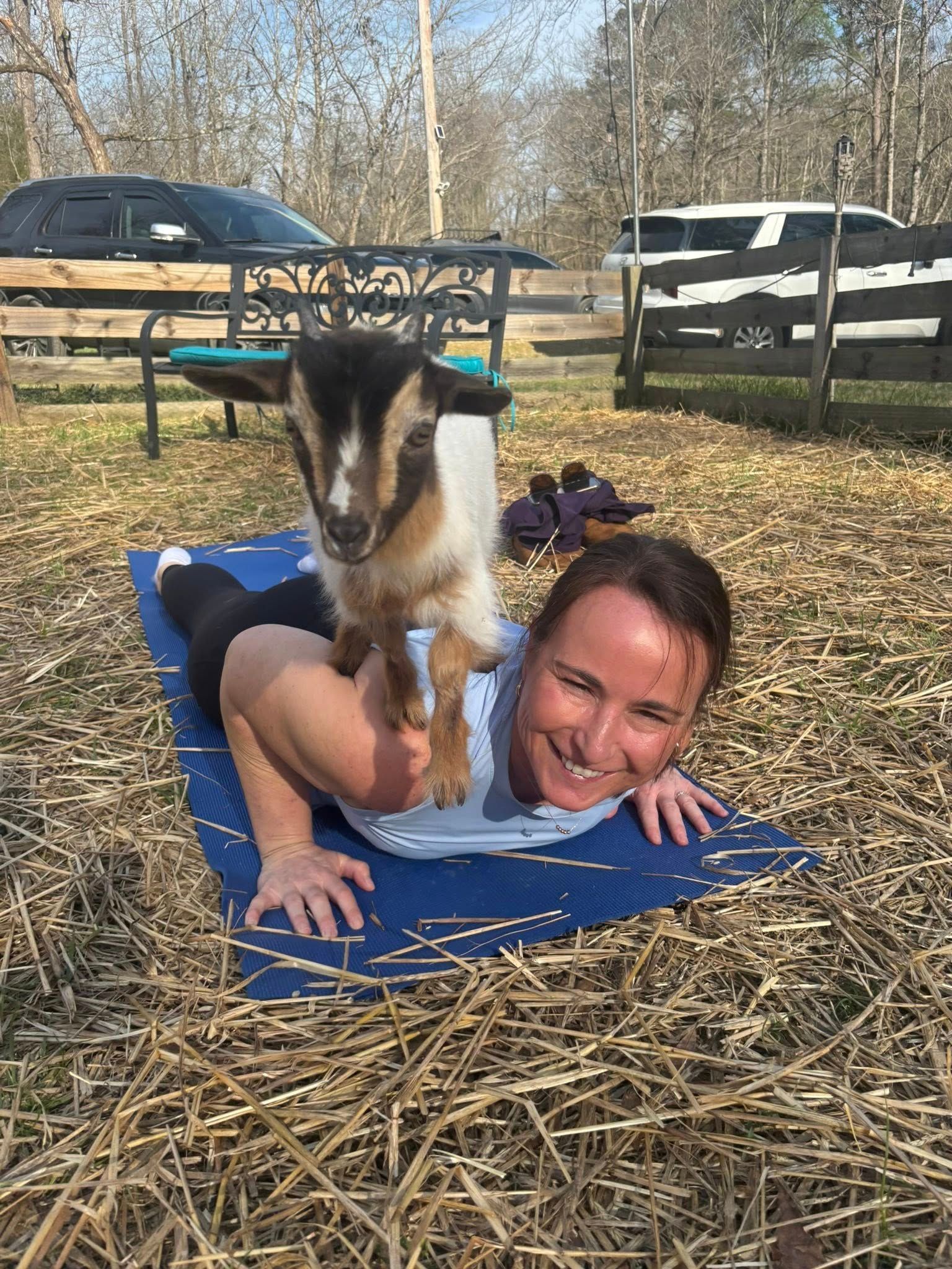 A person on a blue yoga mat outdoors in a field, smiling with a small white and brown goat standing on their back.