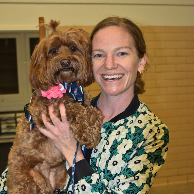 Woman smiling and holding a small brown dog wearing a pink bow and blue harness