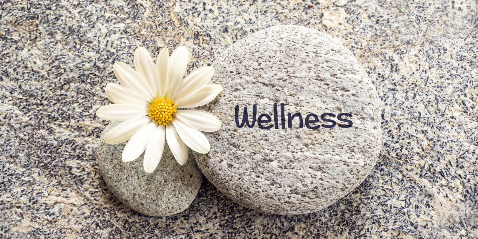 White daisy and pebbles with “Wellness” written on a gray stone.