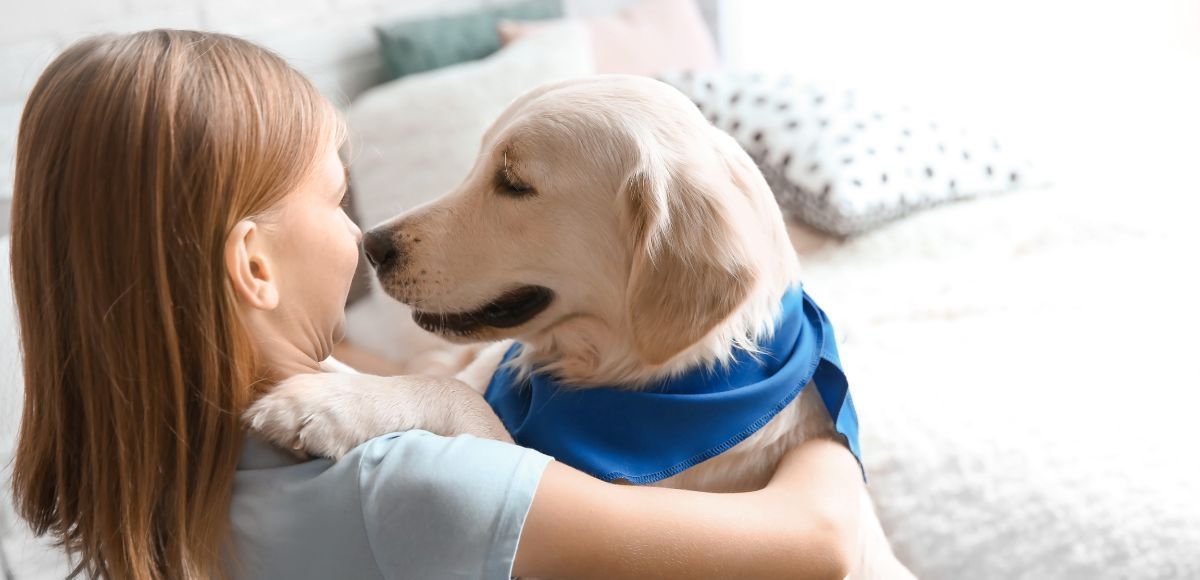 Girl holding a golden retriever puppy in a bright bedroom, nose to nose on a bed