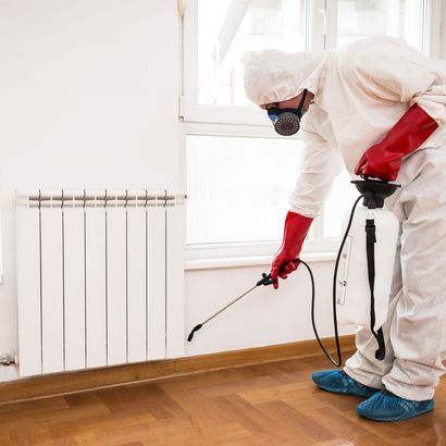 Exterminator in Work — Cairns, QLD — Big Red Carpet Shampooing Exterminator in Work — Cairns, QLD — Big Red Carpet Shampooing