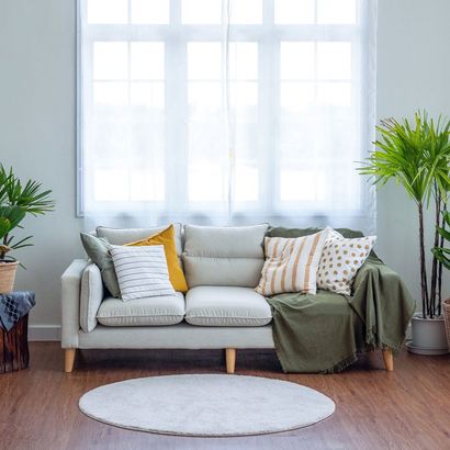 Grey Sofa and Cushions Beside Decorate with Plant — Cairns, QLD — Big Red Carpet Shampooing Grey Sofa and Cushions Beside Decorate with Plant — Cairns, QLD — Big Red Carpet Shampooing