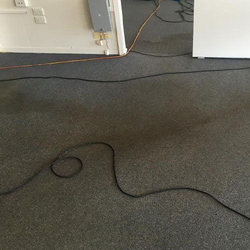Quick Flood Restoration — Cairns, QLD — Big Red Carpet Shampooing