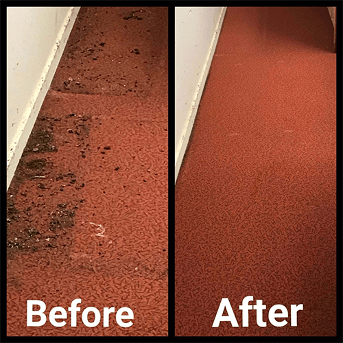 Commercial Stain Removal — Cairns, QLD — Big Red Carpet Shampooing Commercial Stain Removal — Cairns, QLD — Big Red Carpet Shampooing