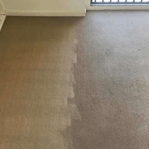 Commercial Carpet Steam Cleaning — Cairns, QLD — Big Red Carpet Shampooing Commercial Carpet Steam Cleaning — Cairns, QLD — Big Red Carpet Shampooing