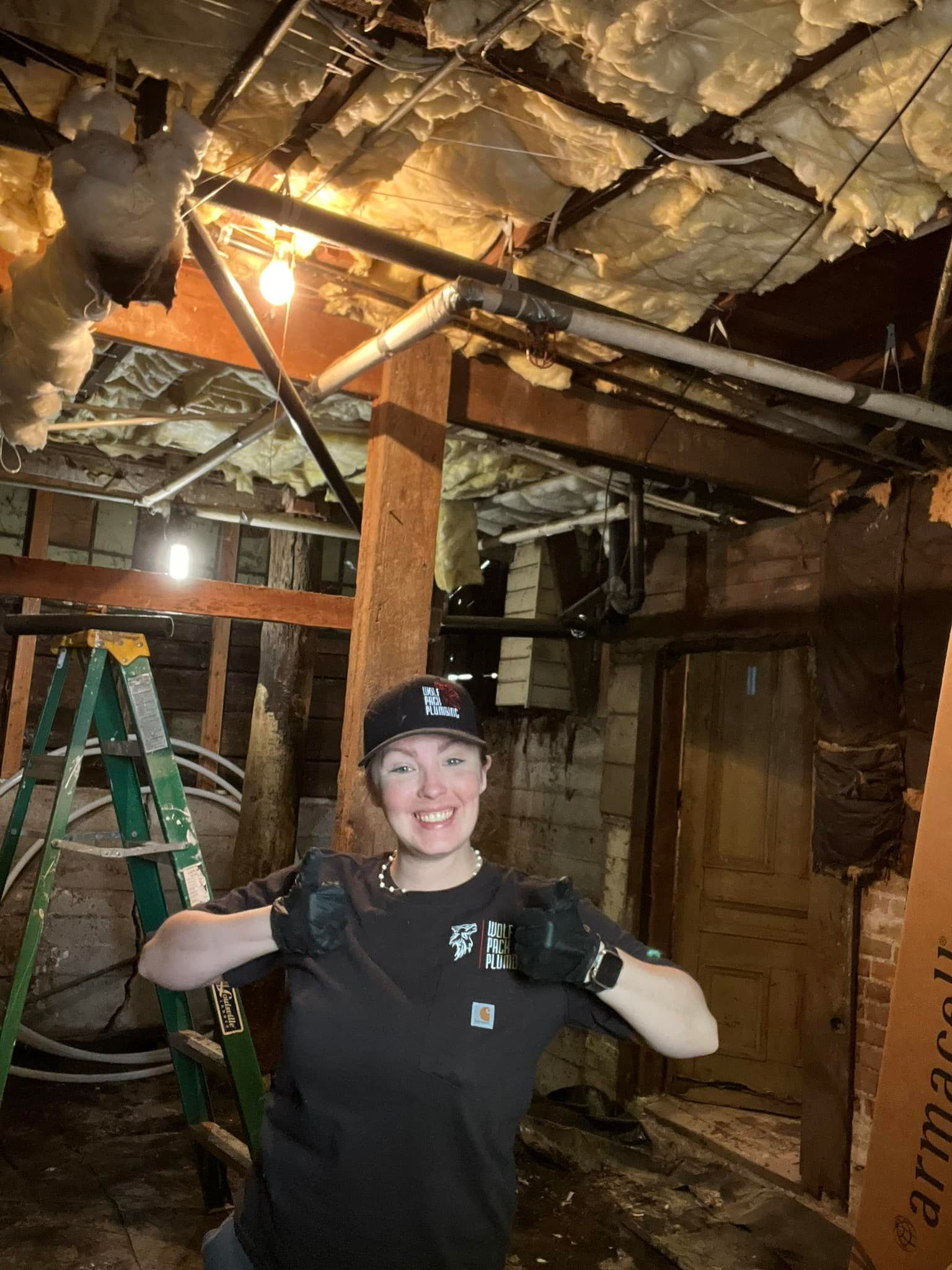 A woman is standing in a basement with a ladder.