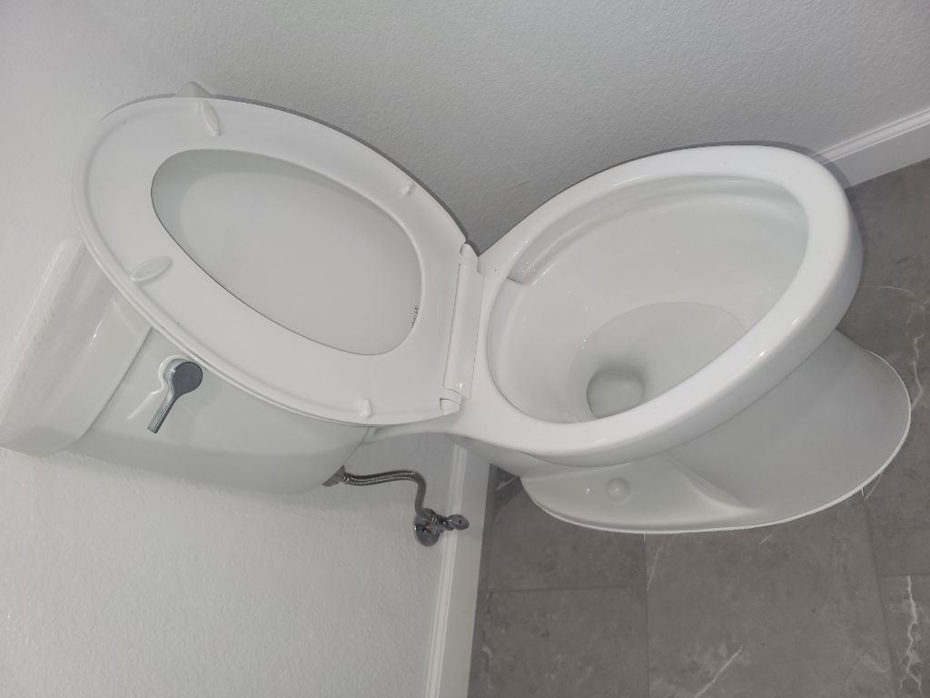 Open toilet with raised seat in a bathroom corner, showing the bowl and flush mechanism.