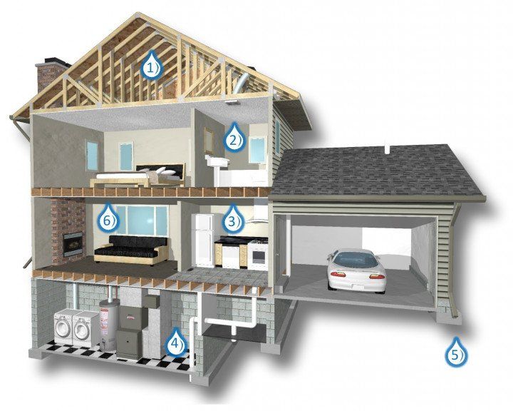 Mold and Water Location