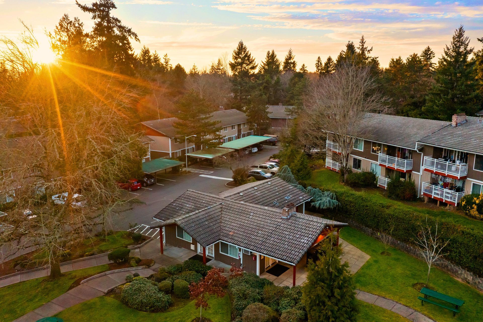 Overlooking Cascade Park at dusk